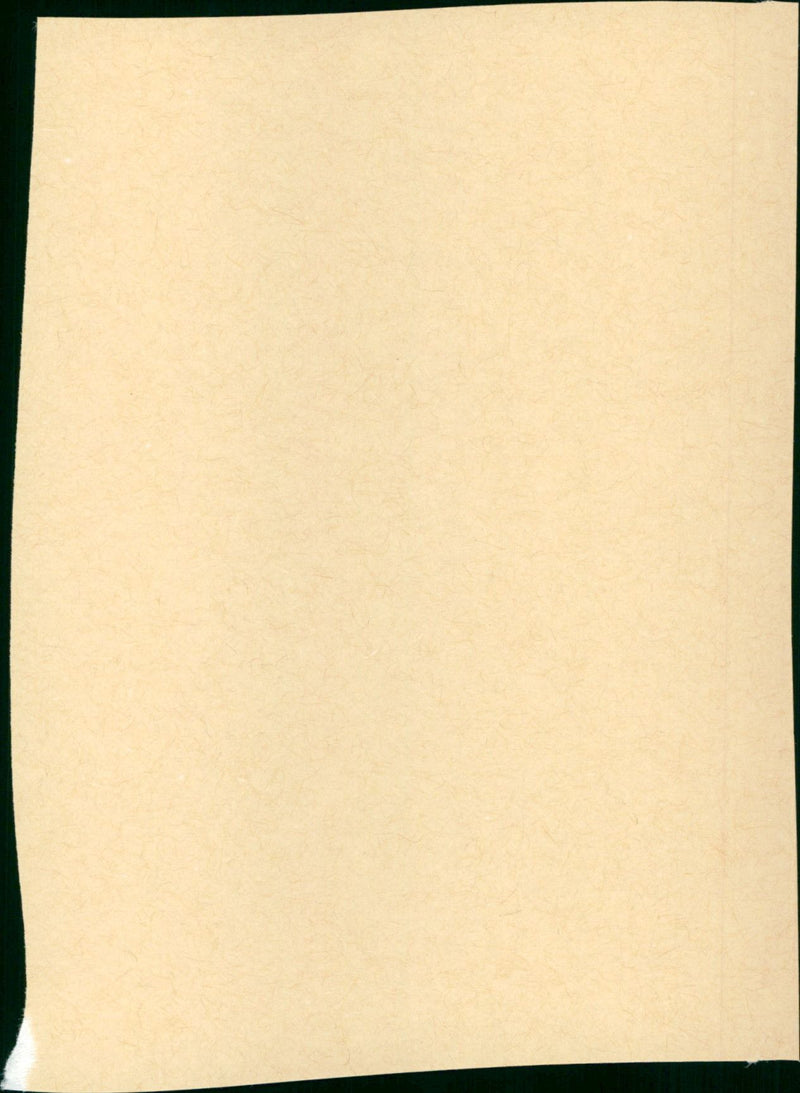 The Great Scout & Cathouse Thursday - Vintage Photograph