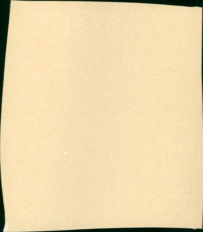 The Great Race - Vintage Photograph