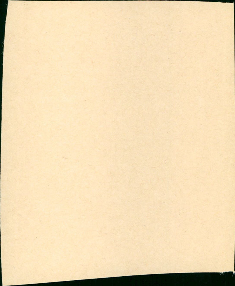 The Big Valley - Vintage Photograph