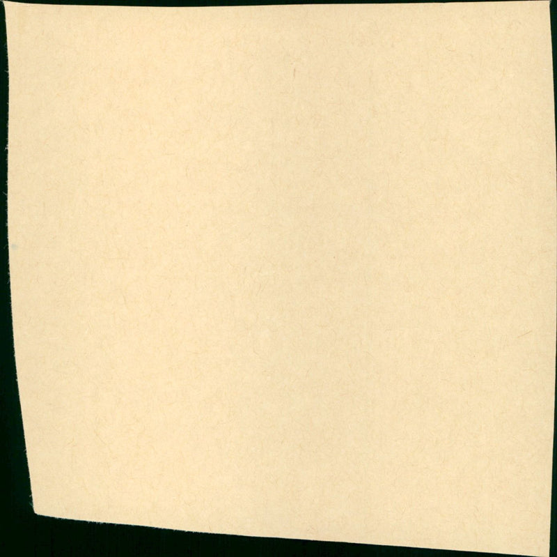 Split screen - Vintage Photograph