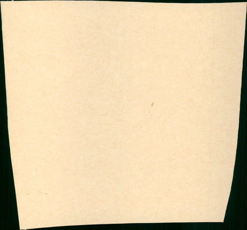 Spot Marks the X - Vintage Photograph