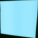 The Spy in the Green Hat - Vintage Photograph