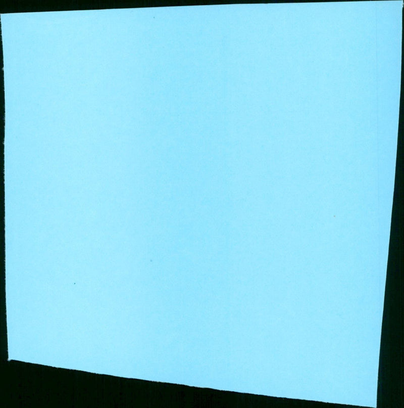 The Spy in the Green Hat - Vintage Photograph