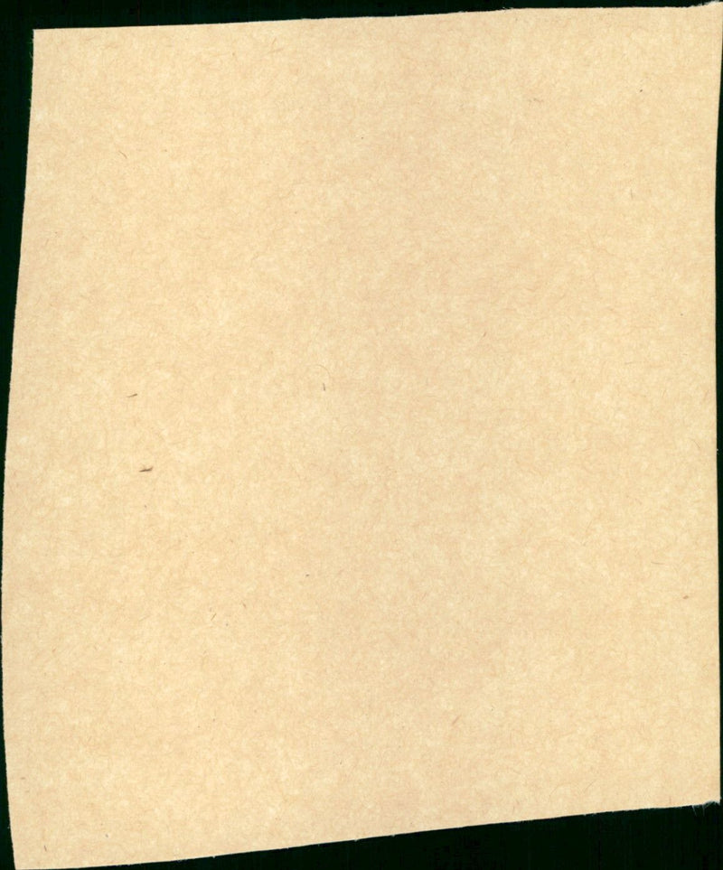 Bite the Bullet - Vintage Photograph