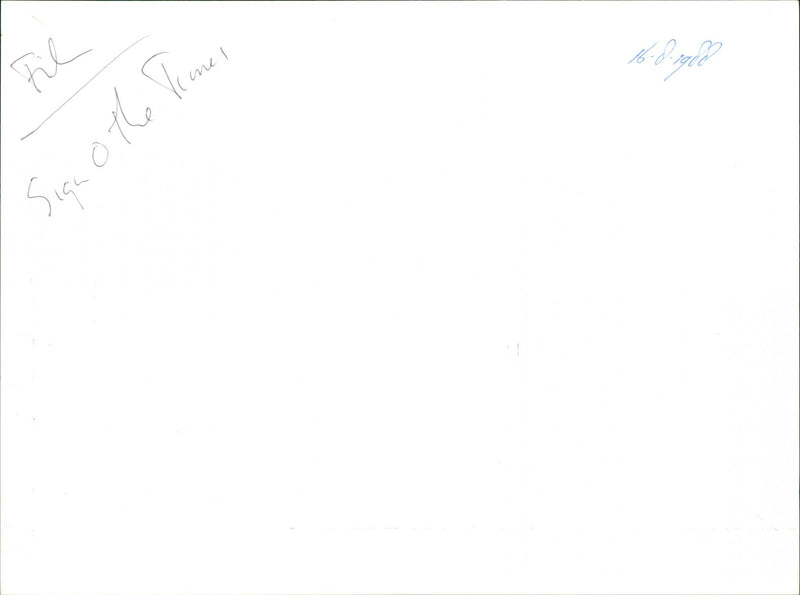 Sheila E., Prince and Cat "Play in the Sunshine - Vintage Photograph