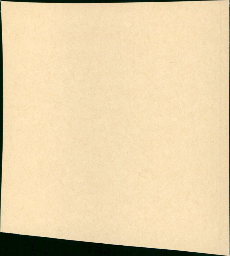 The Spoilers - Vintage Photograph