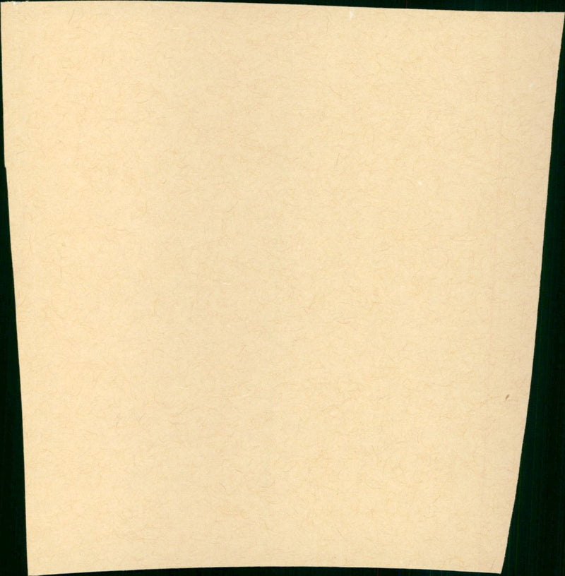 The Spirit of St. Louis - Vintage Photograph