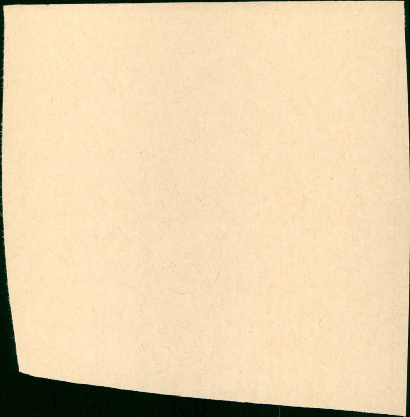 sieben frauen - Vintage Photograph