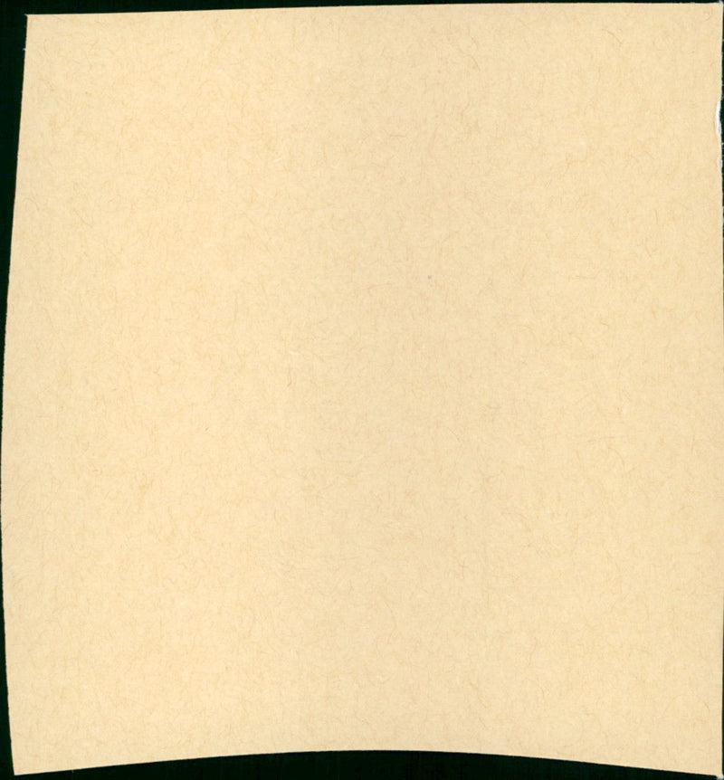 Smithereens - Vintage Photograph