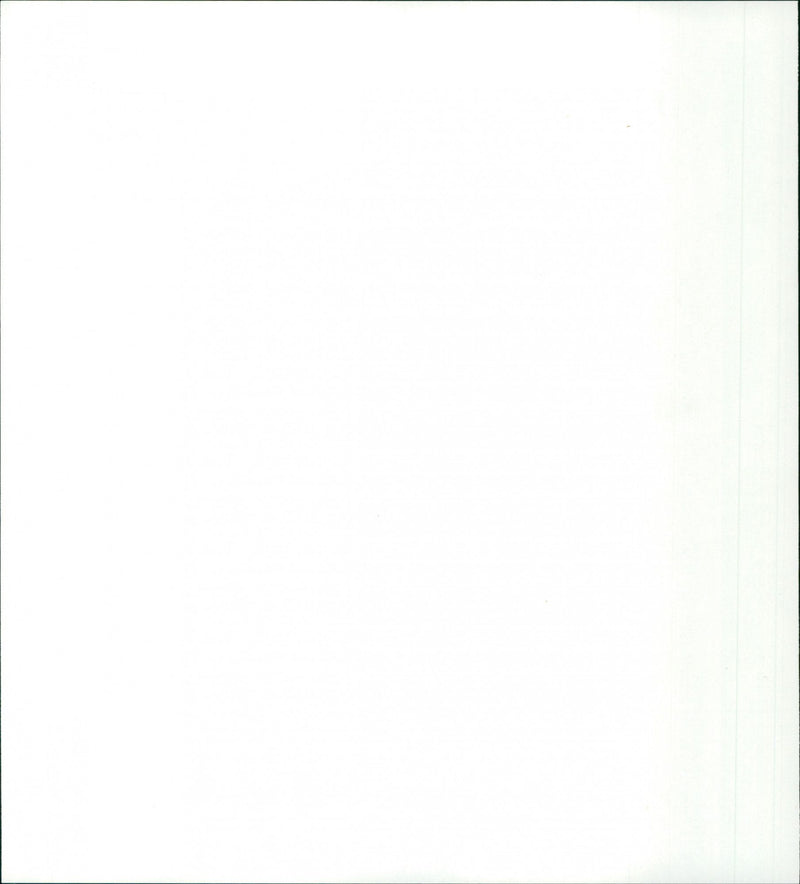 Sneakers - Vintage Photograph