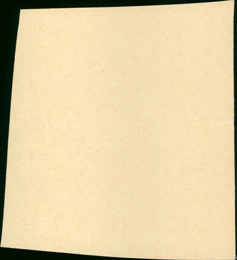 Where the Spies Are - Vintage Photograph