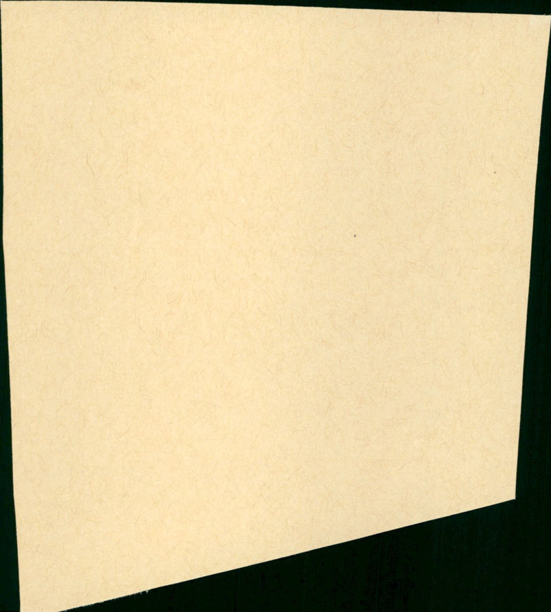 The Spy Who Came in from the Cold - Vintage Photograph