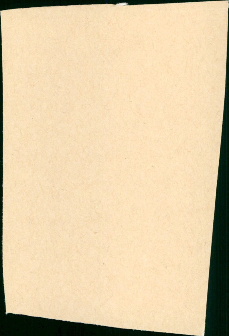 Shoah - Vintage Photograph