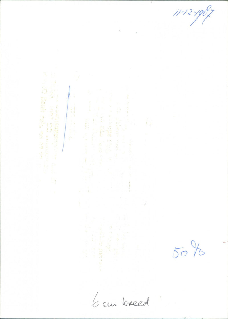 Woman on bench - Vintage Photograph