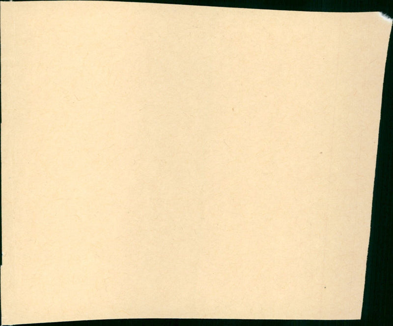 Shuttlecock - Vintage Photograph