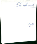 Shuttlecock - Vintage Photograph