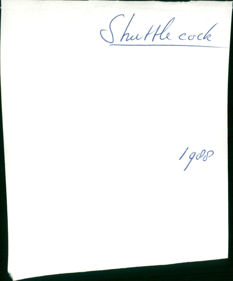 Shuttlecock - Vintage Photograph