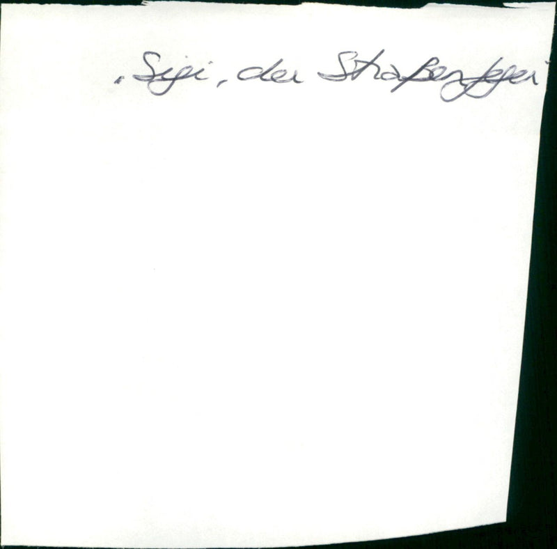Sigi, der Strassenfeger - Vintage Photograph