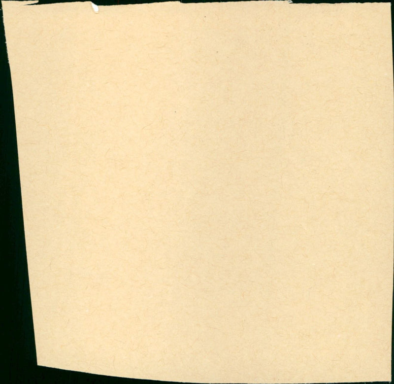 Sigi, der Strassenfeger - Vintage Photograph