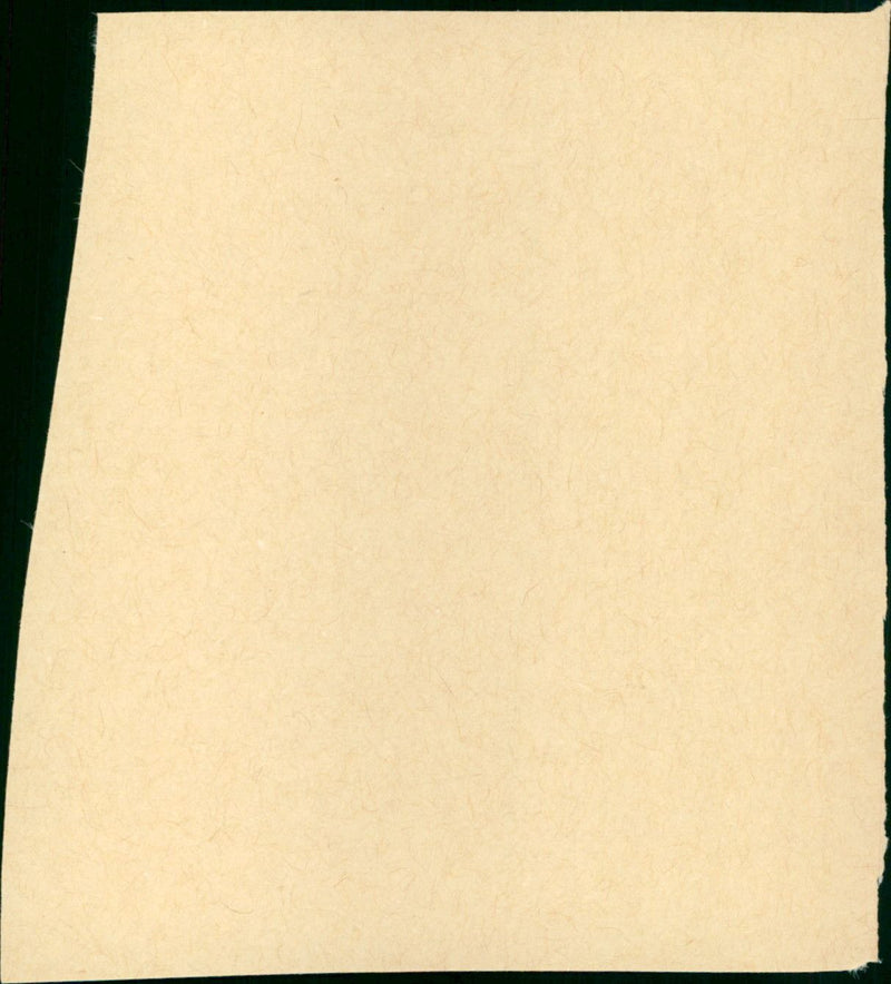 S.O.B. - Vintage Photograph