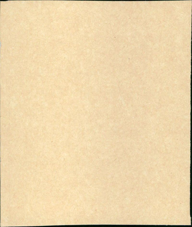 Vater braucht eine Frau - Vintage Photograph