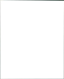 Smokey and the Bandit - Vintage Photograph