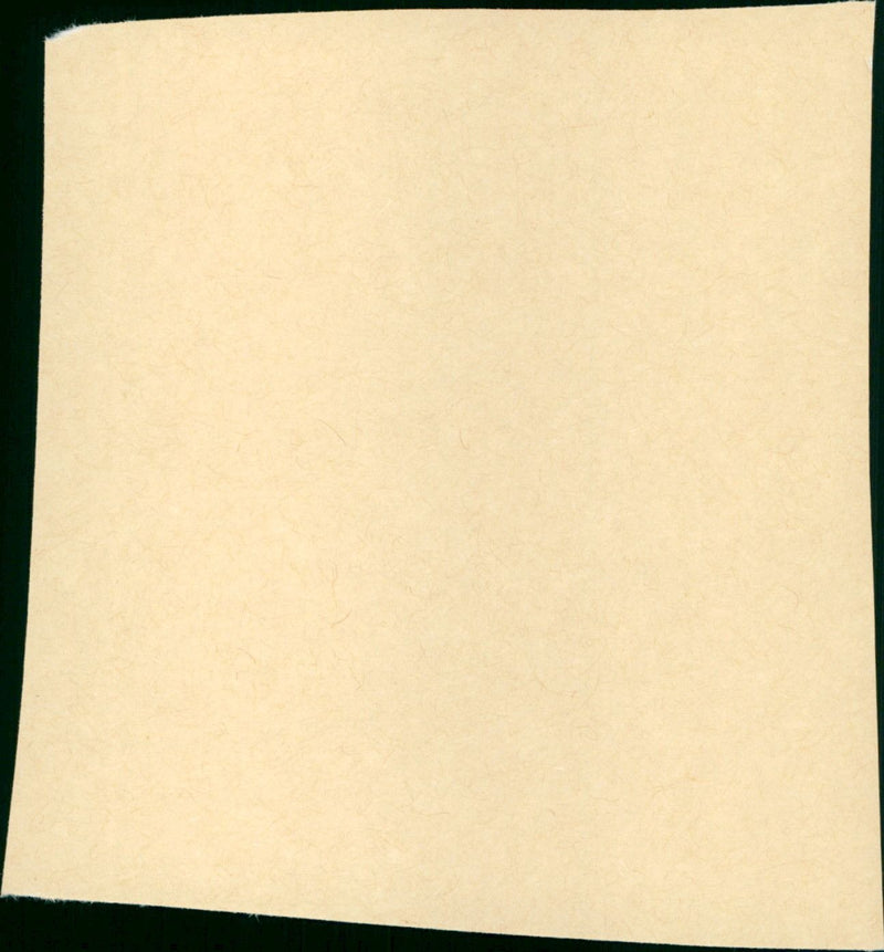 I vitelloni - Vintage Photograph