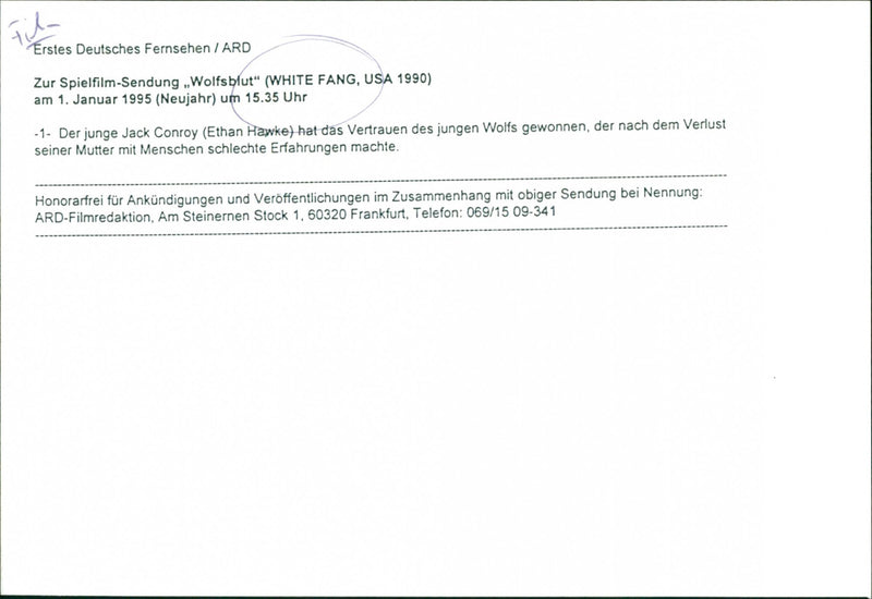 White Fang - Vintage Photograph