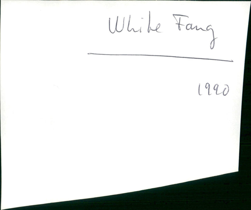 White Fang - Vintage Photograph