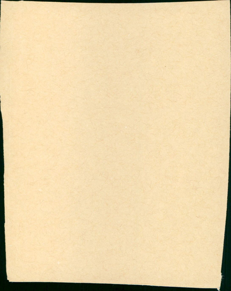 ‎Soft Targets - Vintage Photograph