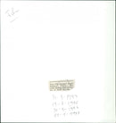 The Snapper - Vintage Photograph