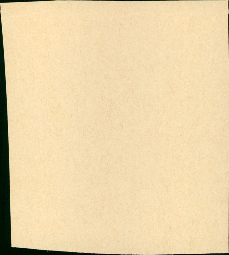 Sit Tight - Vintage Photograph