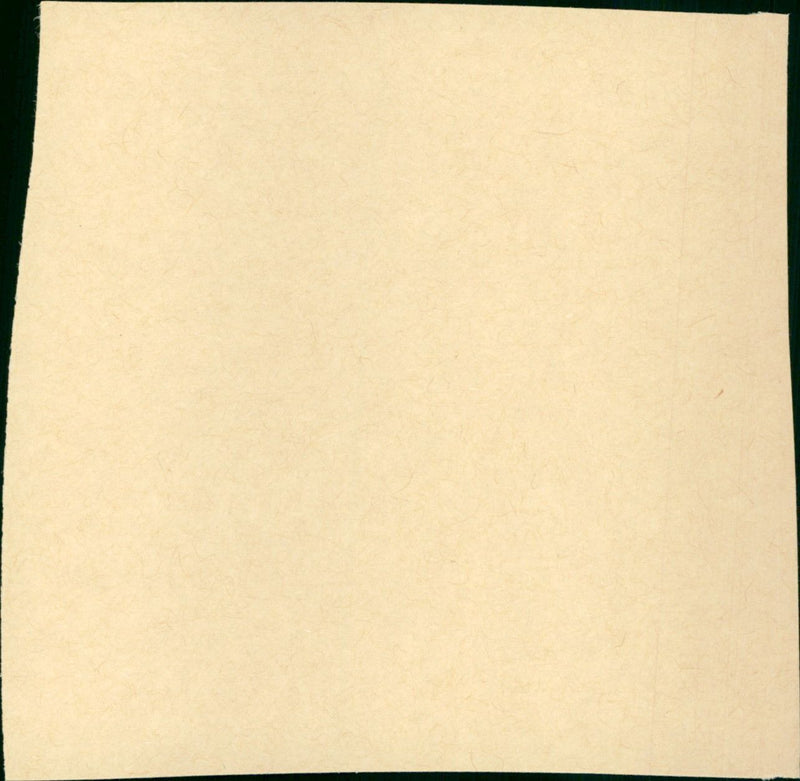 The Snapper - Vintage Photograph