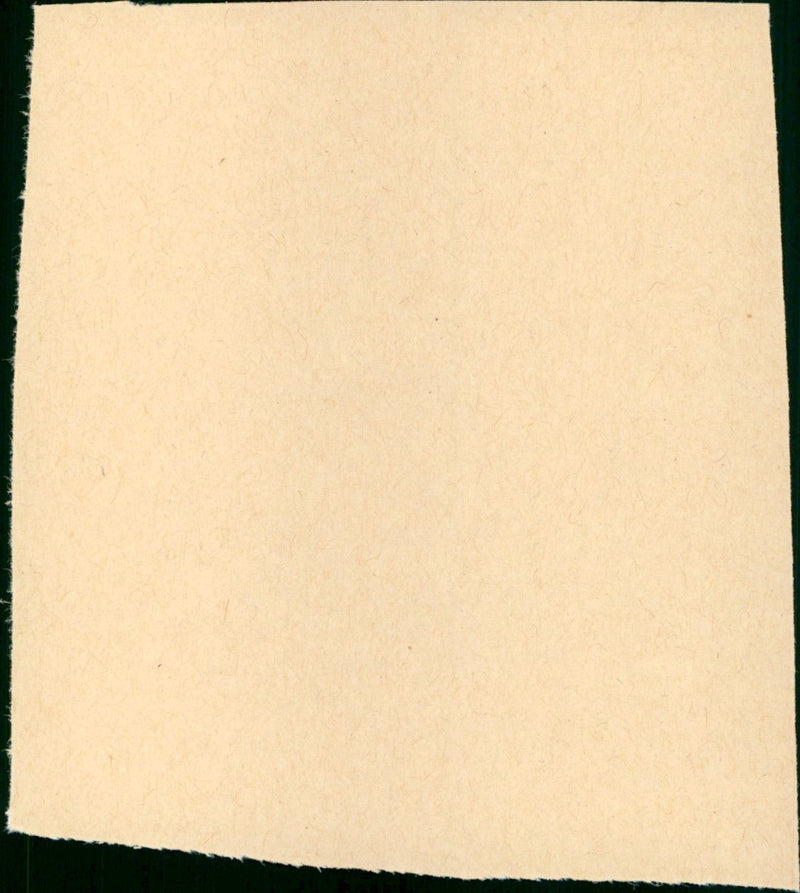 Voices - Vintage Photograph