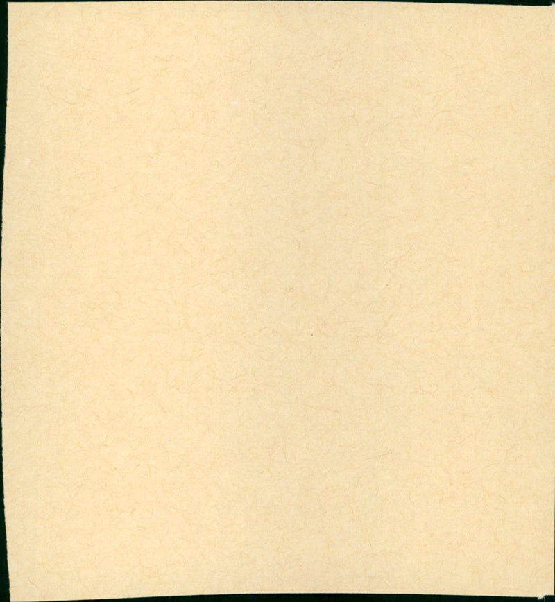 Smultronstället - Vintage Photograph