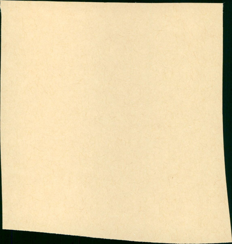 Snow White - Vintage Photograph