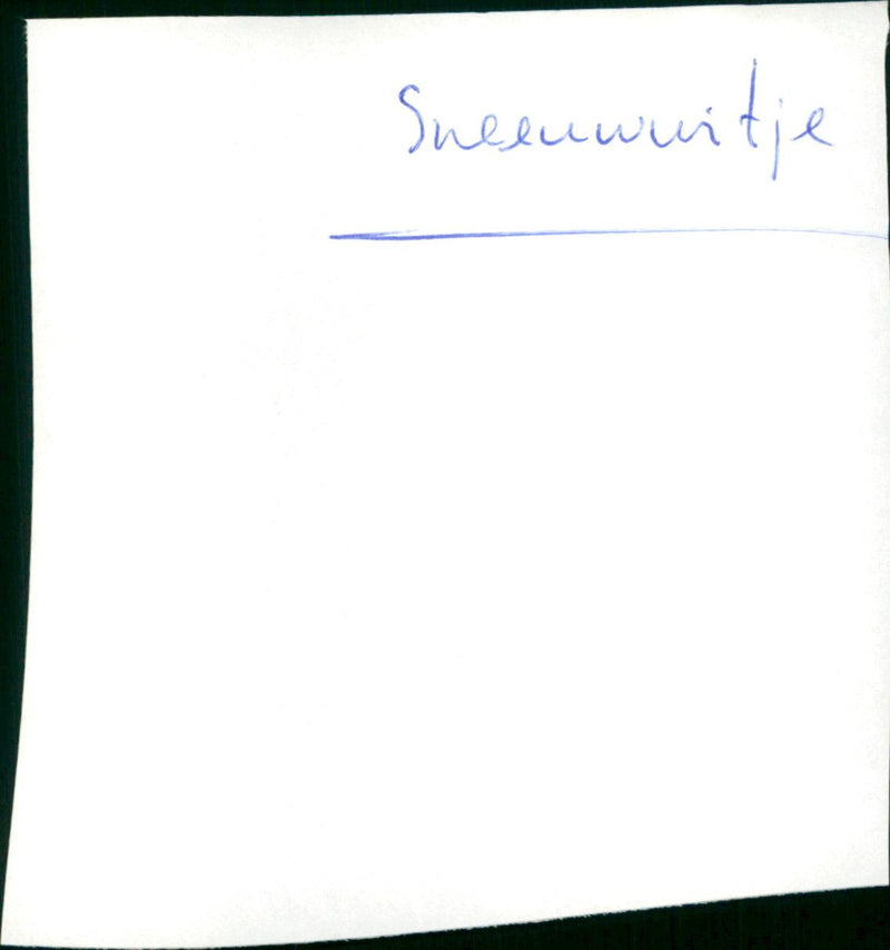 Snow White - Vintage Photograph