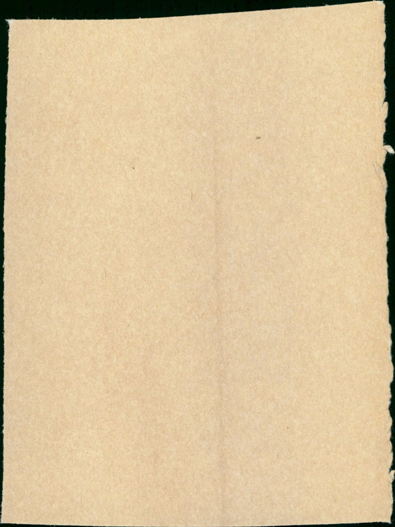 Een Vrouw als Eva - Vintage Photograph