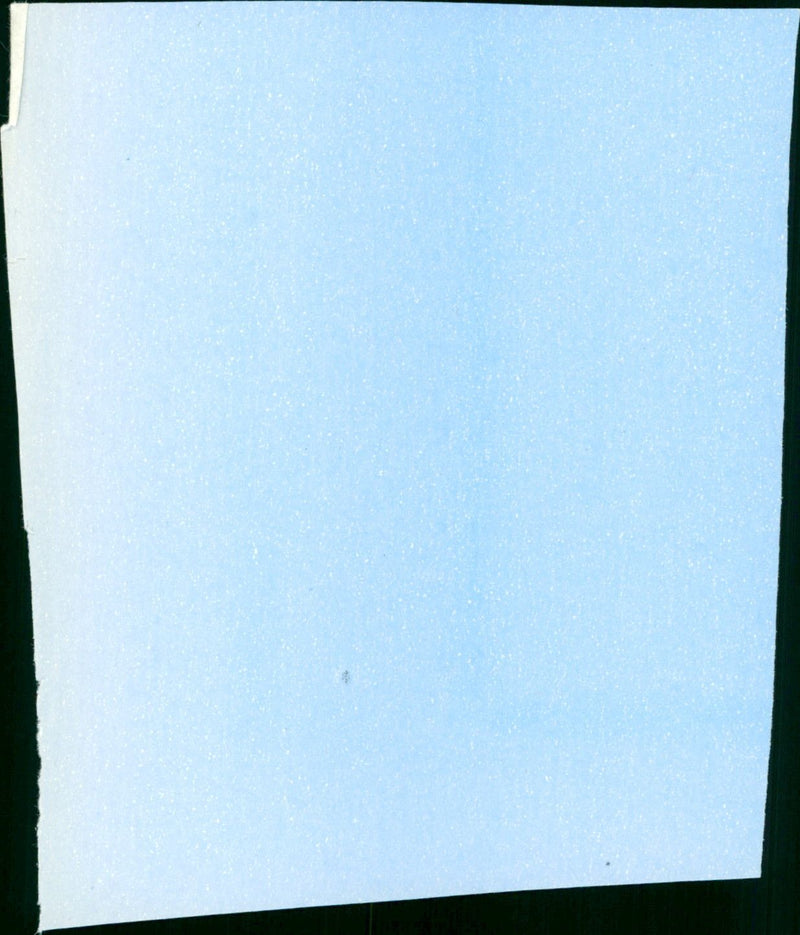 Whisper Kill - Vintage Photograph