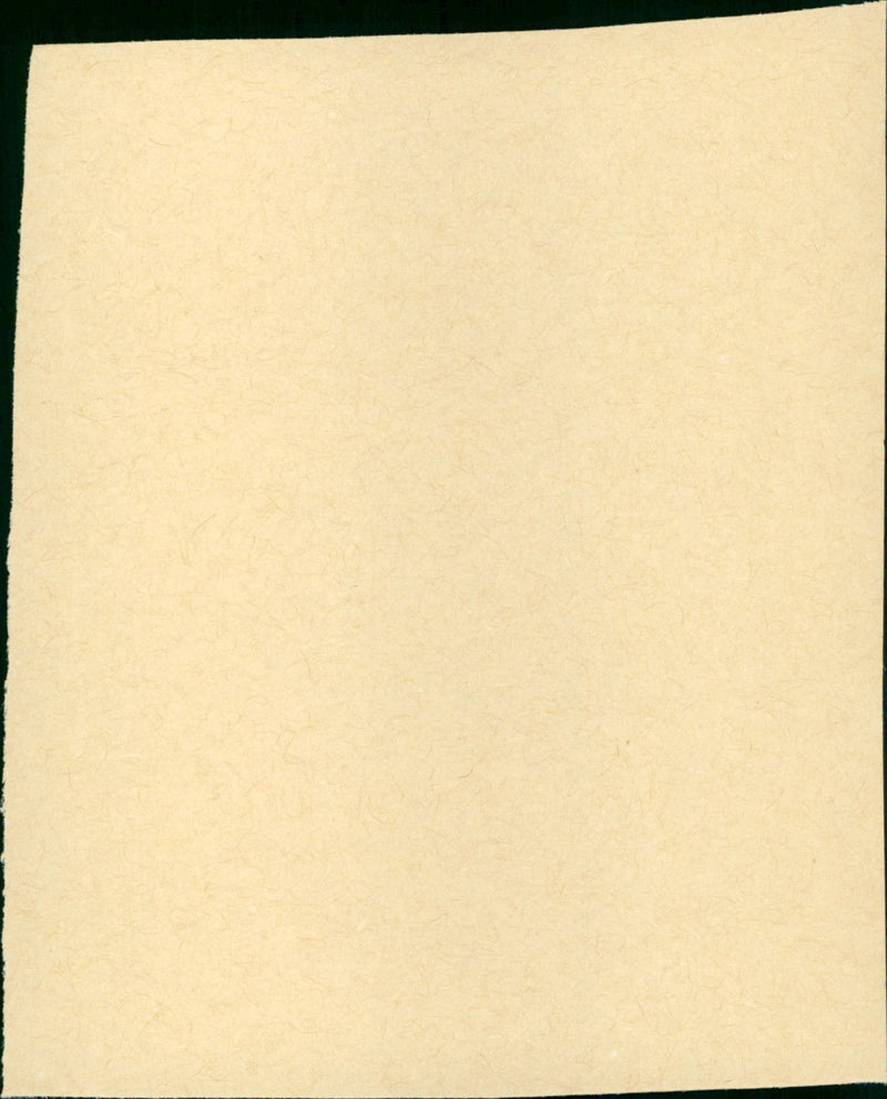 Een Vrouw Tussen Hond en Wolf - Vintage Photograph