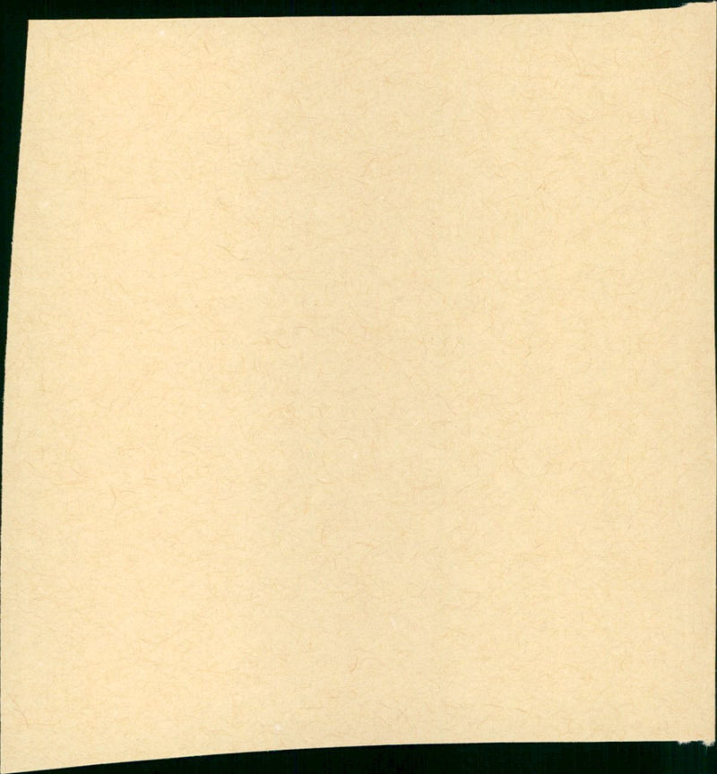 Snake Eyes - Vintage Photograph