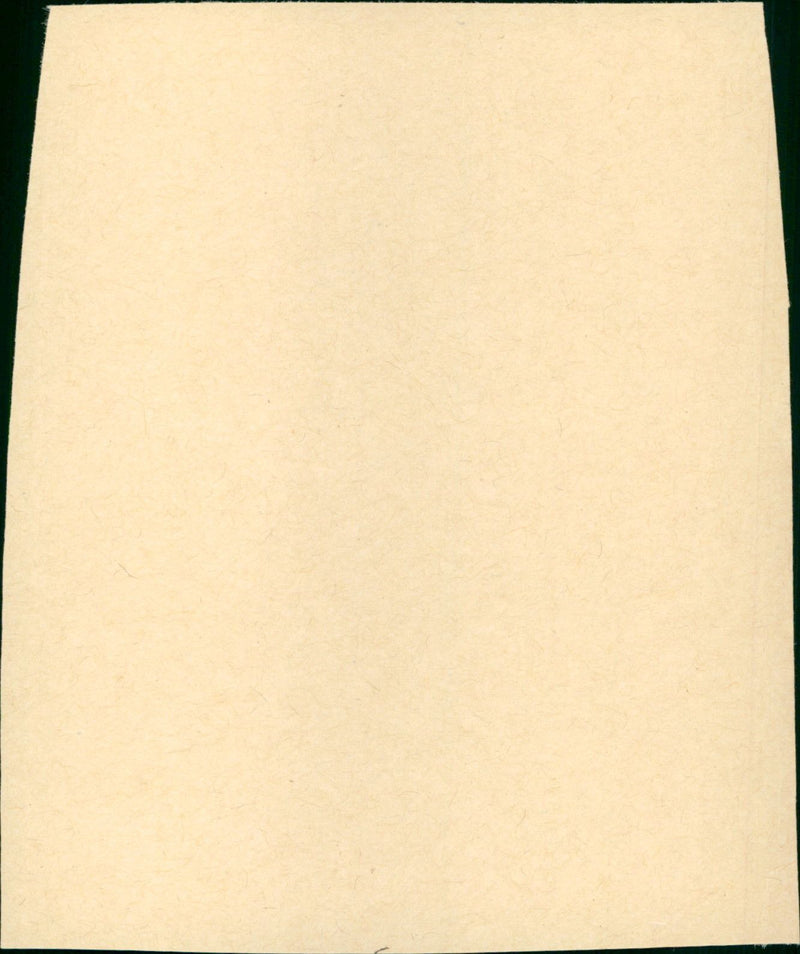 Where the River Runs Black - Vintage Photograph