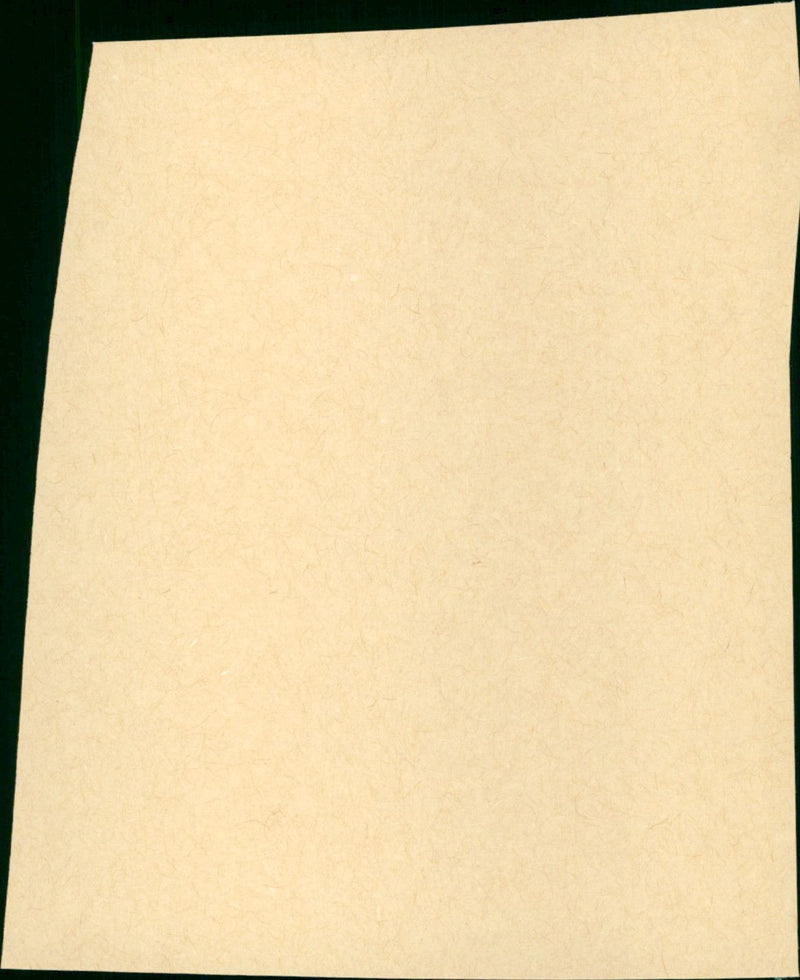 While You Were Sleeping - Vintage Photograph