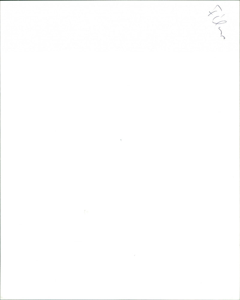 Sneakers - Vintage Photograph