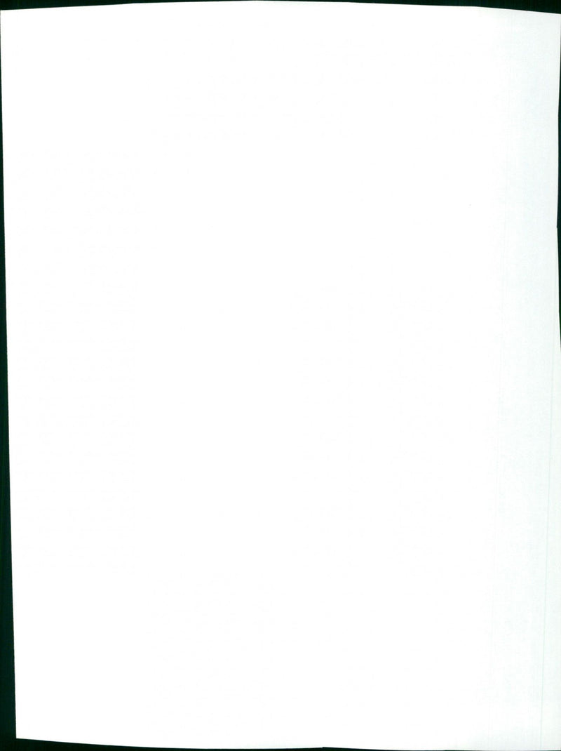 Honeyboy - Vintage Photograph