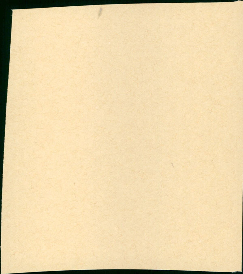 Snow White - Vintage Photograph