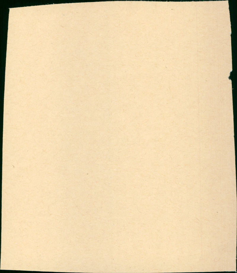 White Hunter Black Heart - Vintage Photograph