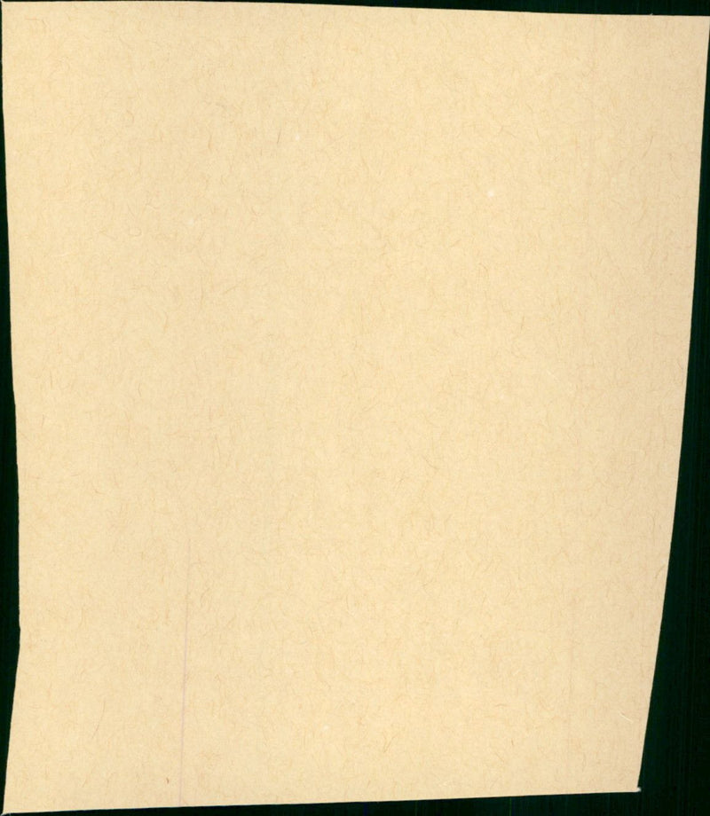 White Feather - Vintage Photograph