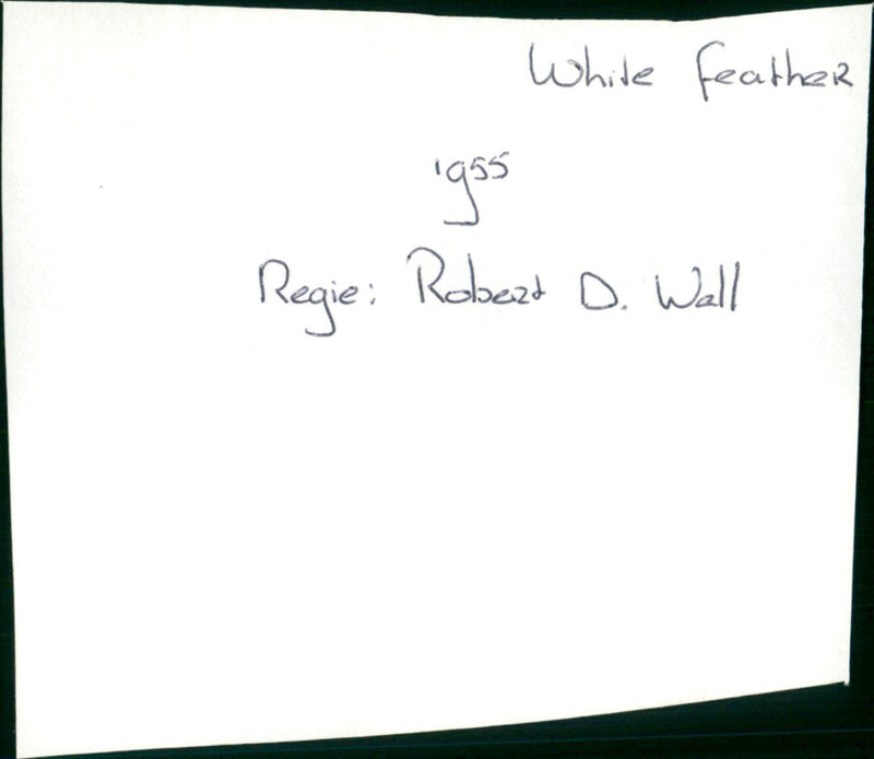 White Feather - Vintage Photograph