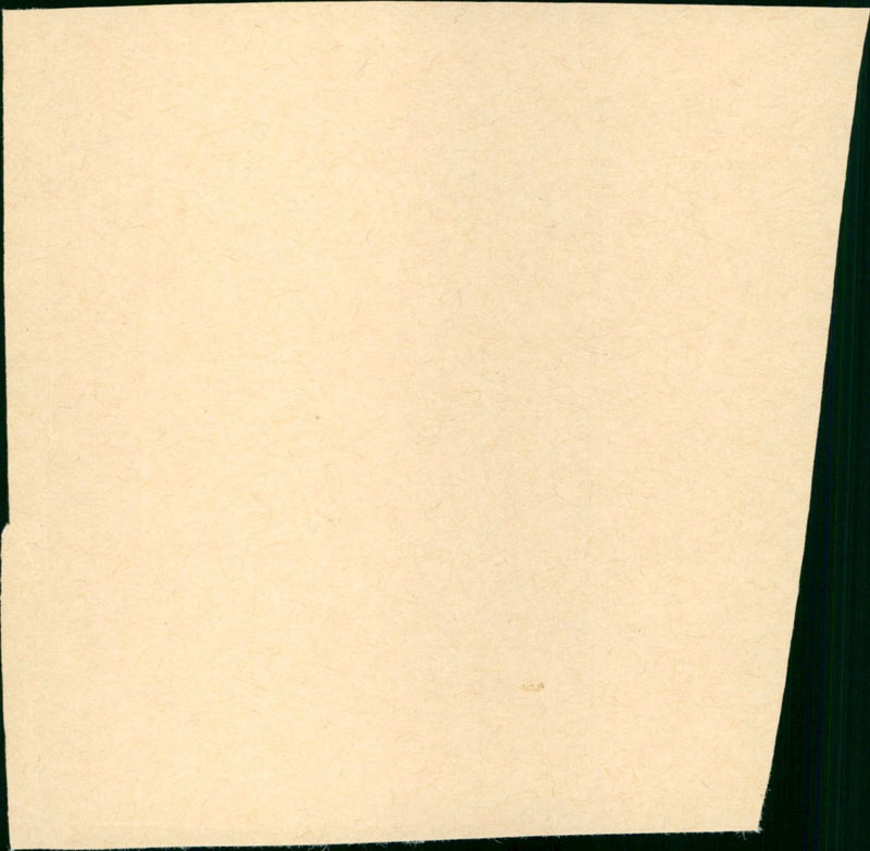 Whistling in Brooklyn - Vintage Photograph